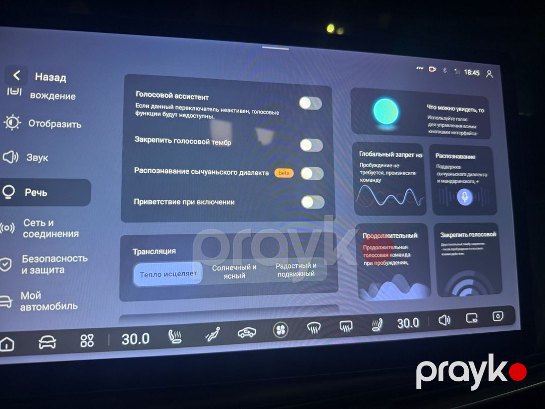 Changan Deepal S07 Deepal SL03 rus dili və proqram yazılması — Avtoxidmət və diaqnostika, Bakı (11)