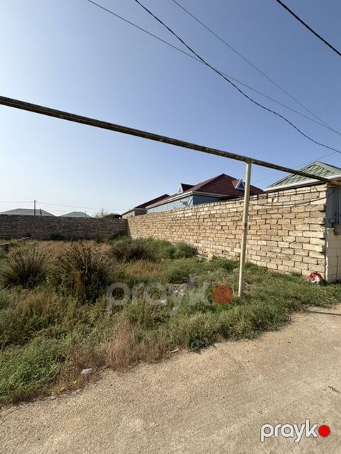 2 sot, Tikinti, Mülkiyyətçi, Kupça (Çıxarış)