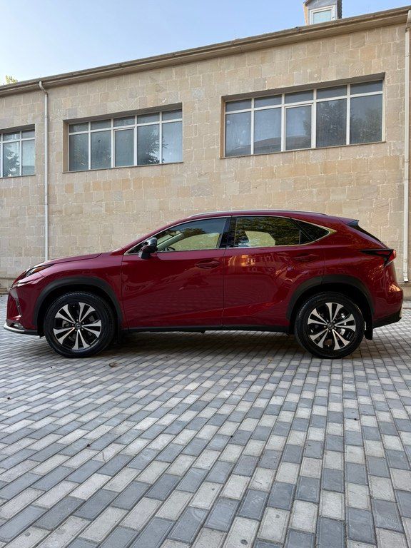Lexus NX 300, 2.0 L, 2021 il, 31 000 km — Avtomobillər, Bakı (7)