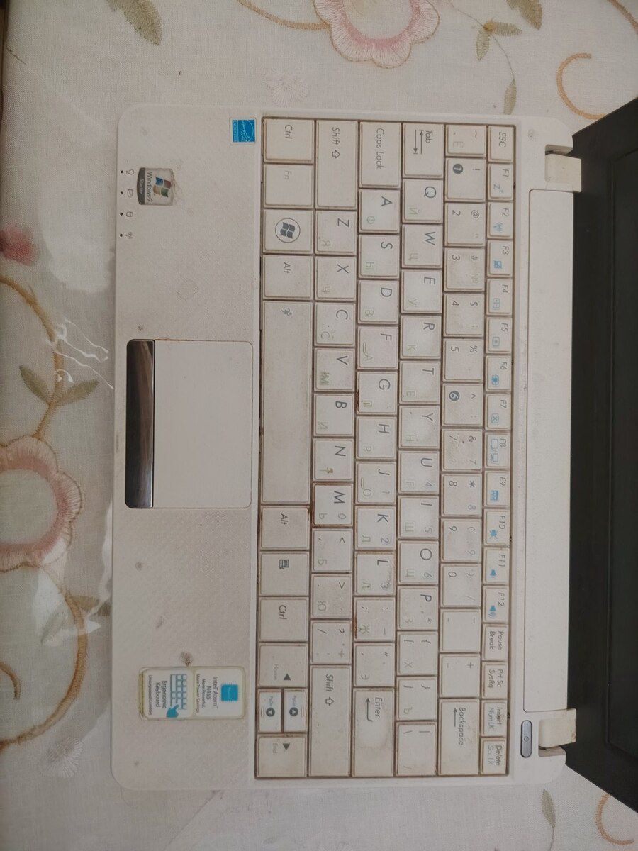 Noutbuk "Asus" — Noutbuklar, Bakı (3)