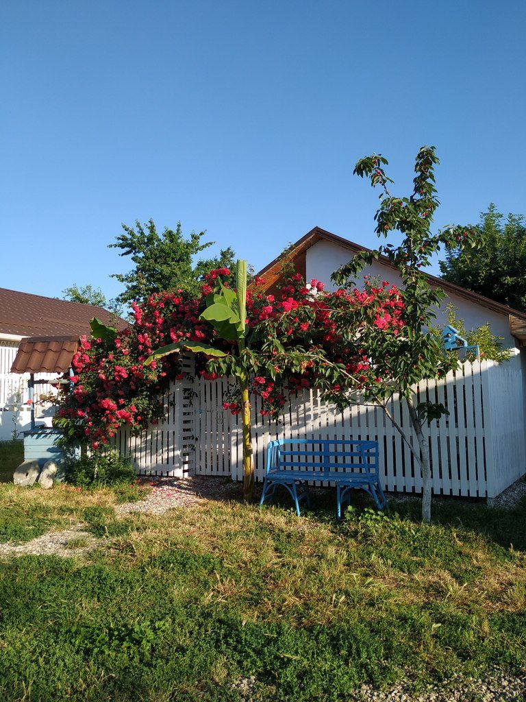 Həyət evi kirayə verilir, Qusar r — Ev, villa, Qusar (4)