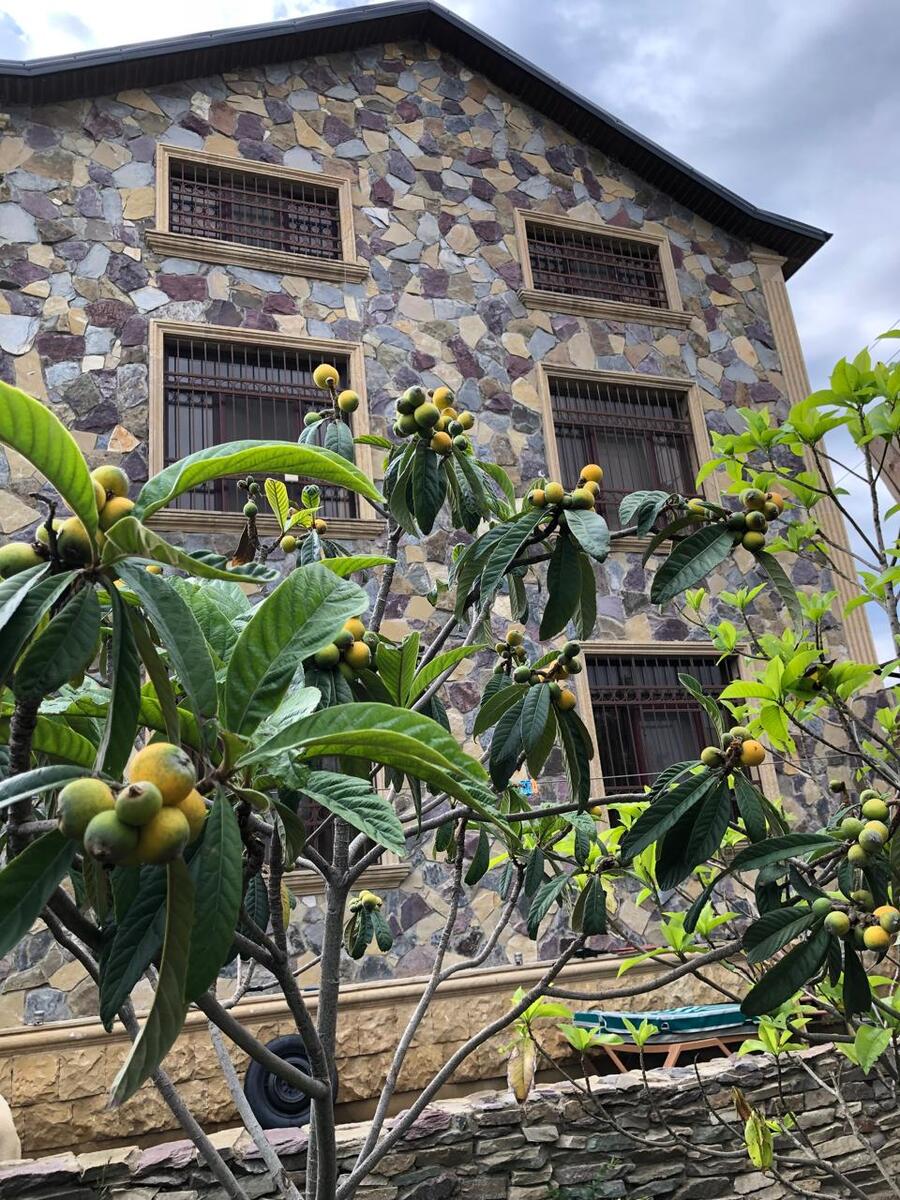 Satılır 6 otaqlı həyət evi/bağ evi 300 m² — Ev, villa, Bakı (5)