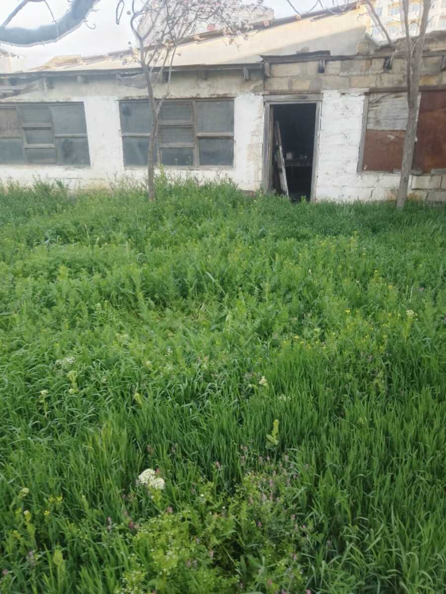 Satılır torpaq 11 sot — Torpaq, Bakı (2)