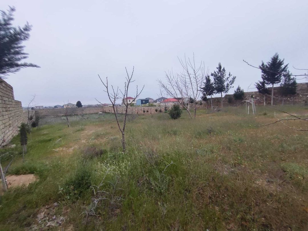 Satılır torpaq 24.5 sot — Torpaq, Bakı (3)