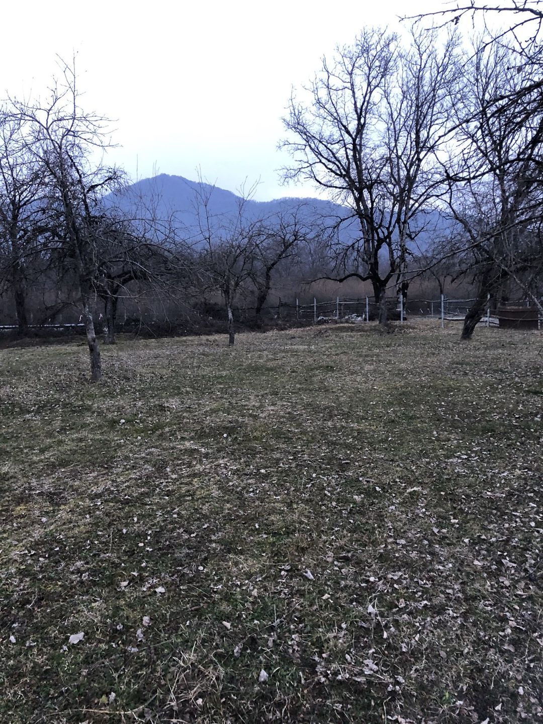 20 sot torpaq sahəsi, Qəbələ ş — Torpaq, Qəbələ (6)