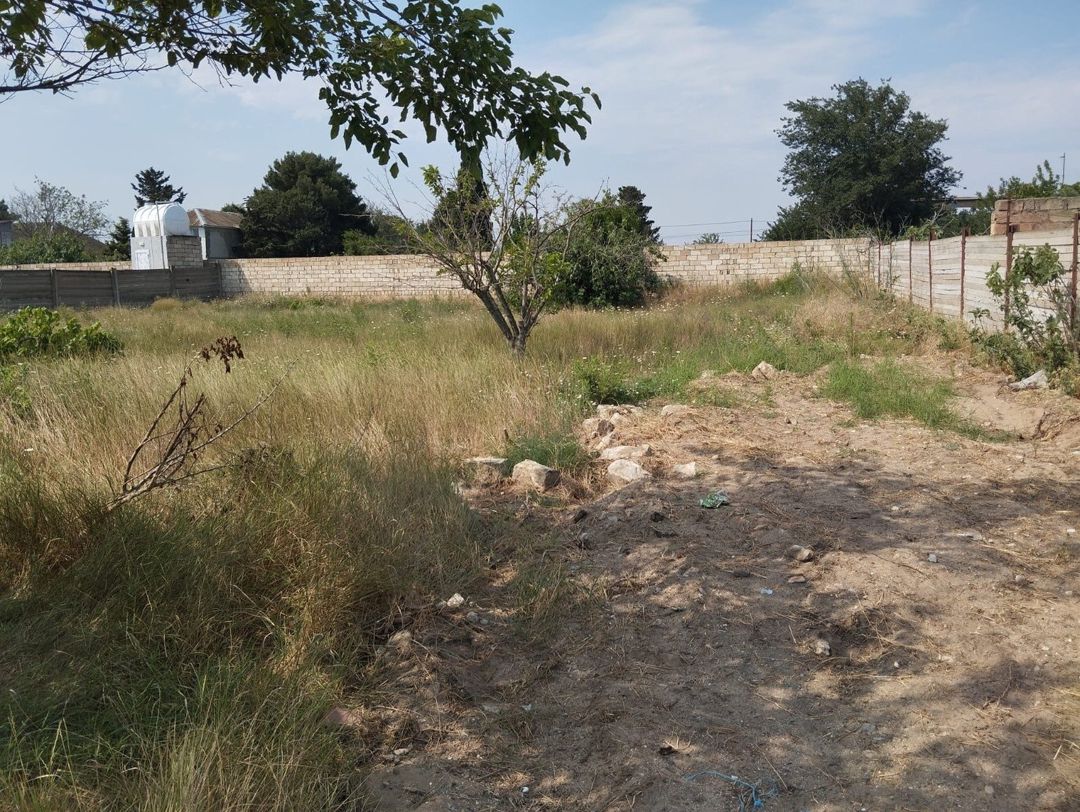 Satılır torpaq 6 sot — Torpaq, Bakı (3)
