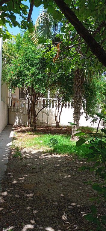 Satılır 5 otaqlı həyət evi/bağ evi 258 m² — Ev, villa, Bakı (9)