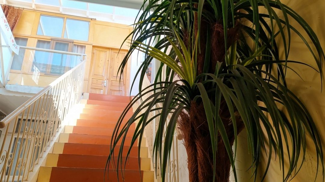 Bağ evi, Gəncə ş — Ev, villa, Gəncə (5)