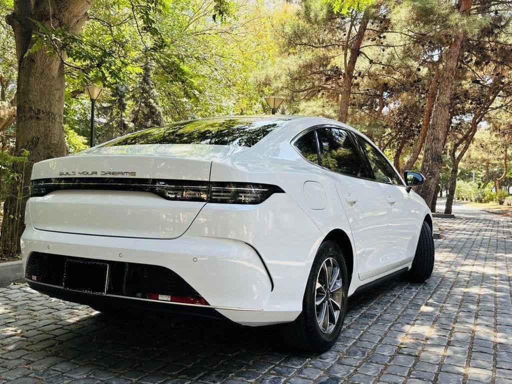 BYD Destroyer 05, 1.5 L, 18.3 kWh, 2025 il, 16 800 km — Avtomobillər, Bakı (9)