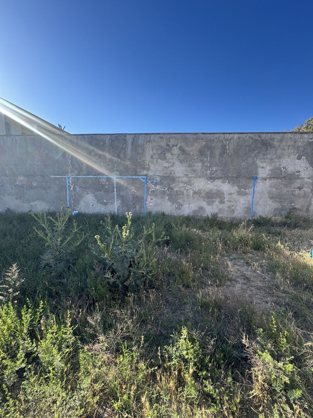 Satılır torpaq 8 sot — Torpaq, Bakı (5)