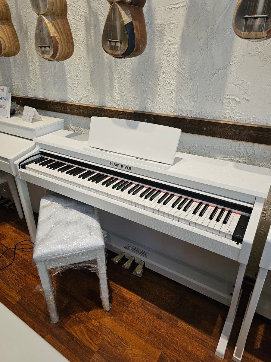 Pearl River v-03 PRO — Musiqiə alətləri, Bakı (3)