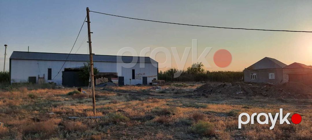 1000 sot torpaq sahəsi, Goranboy r — Torpaq, Goranboy (3)