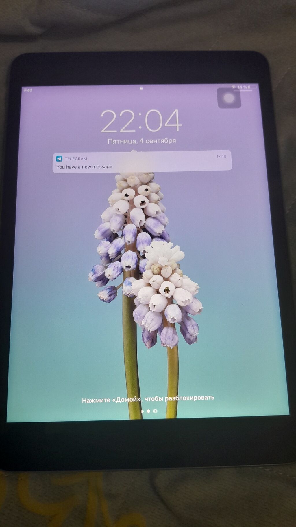 İşlənmiş Apple iPad mini 2, 7,9", 64 GB — Apple, Sumqayıt (2)