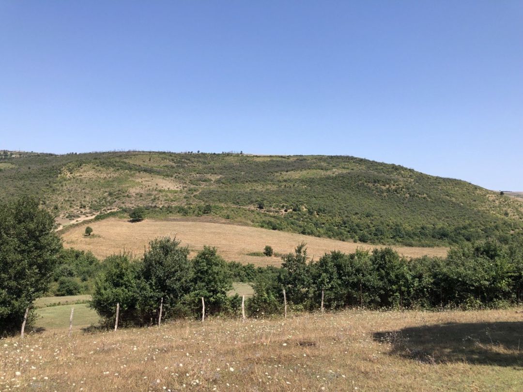 22 sot torpaq sahəsi, Şabran r — Torpaq, Şabran
