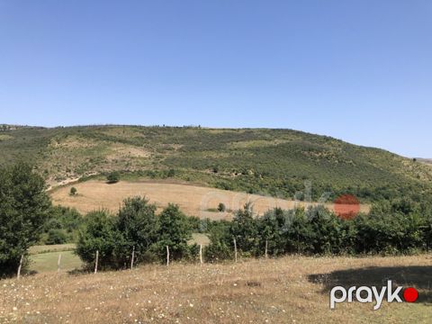 22 sot torpaq sahəsi, Şabran r
