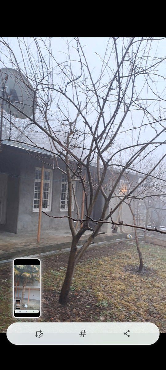 Həyət evi, Şəki ş — Ev, villa, Şəki (5)
