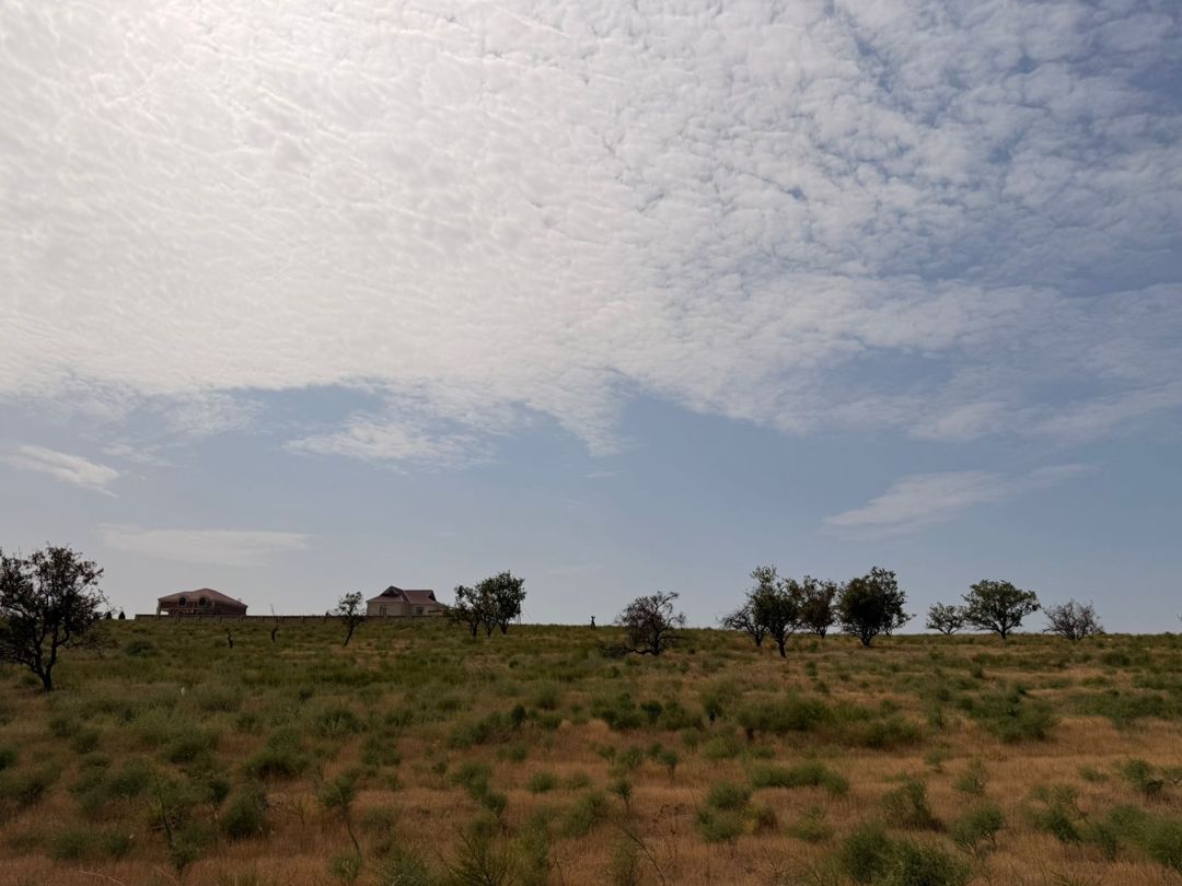 Satılır torpaq 187 sot — Torpaq, Bakı (2)