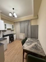 İcarəyə verilir 1 otaqlı yeni tikili 45 m² — Elvin Hacıkarimov