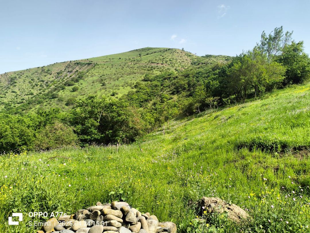 Həyət evi, 5 hektar torpaq — Ev, villa, Yardımlı (4)