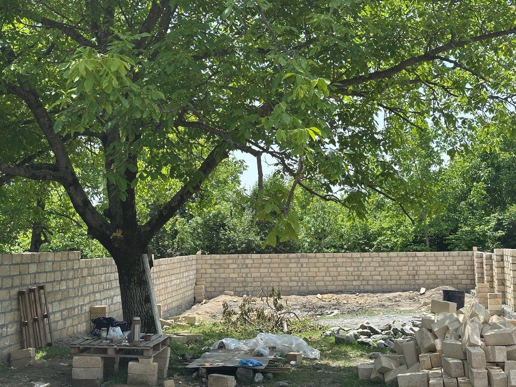 3.9 sot torpaq sahəsi, Vəndam qəs — Torpaq, Qəbələ (3)
