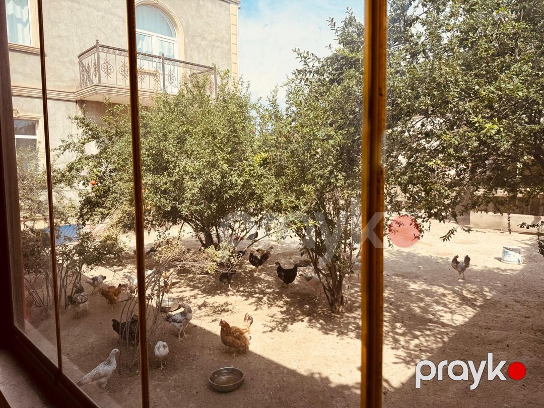 Satılır 6 otaqlı həyət evi/bağ evi 250 m² — Ev, villa, Bakı (11)