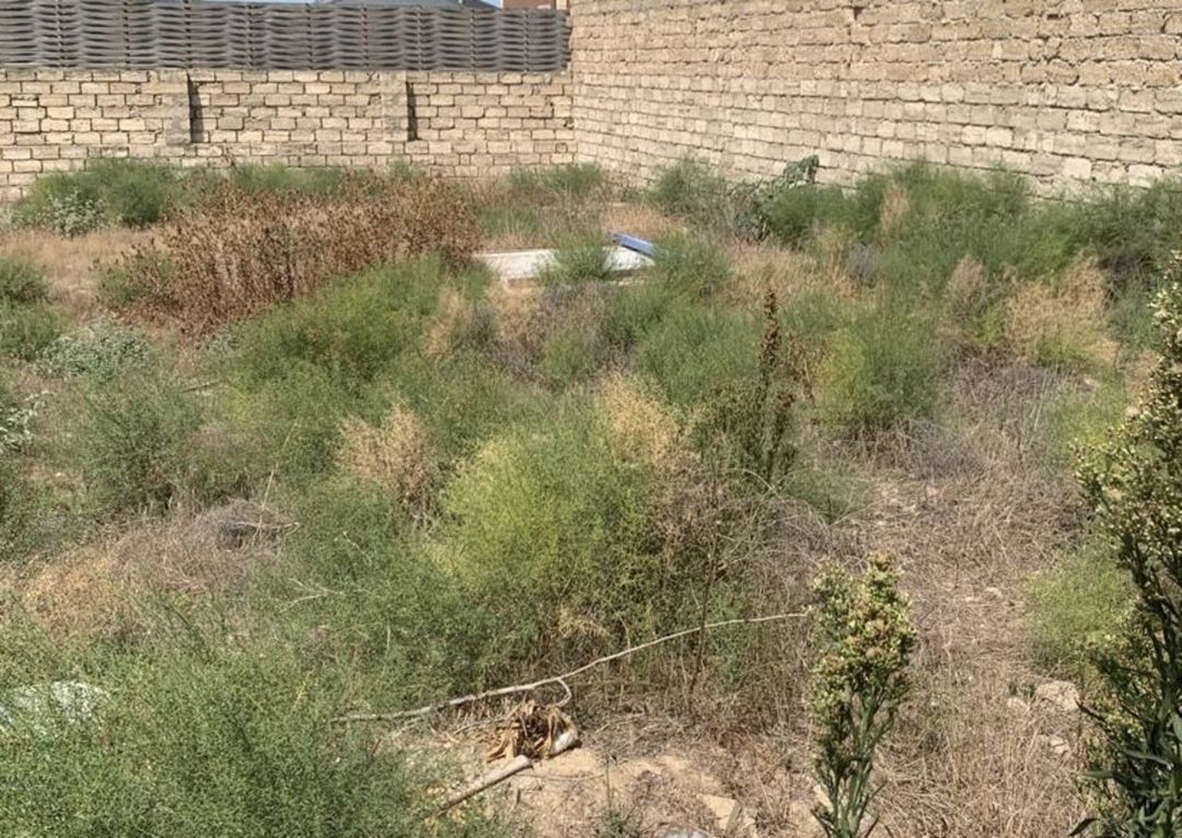 Satılır torpaq 5 sot — Torpaq, Bakı (2)