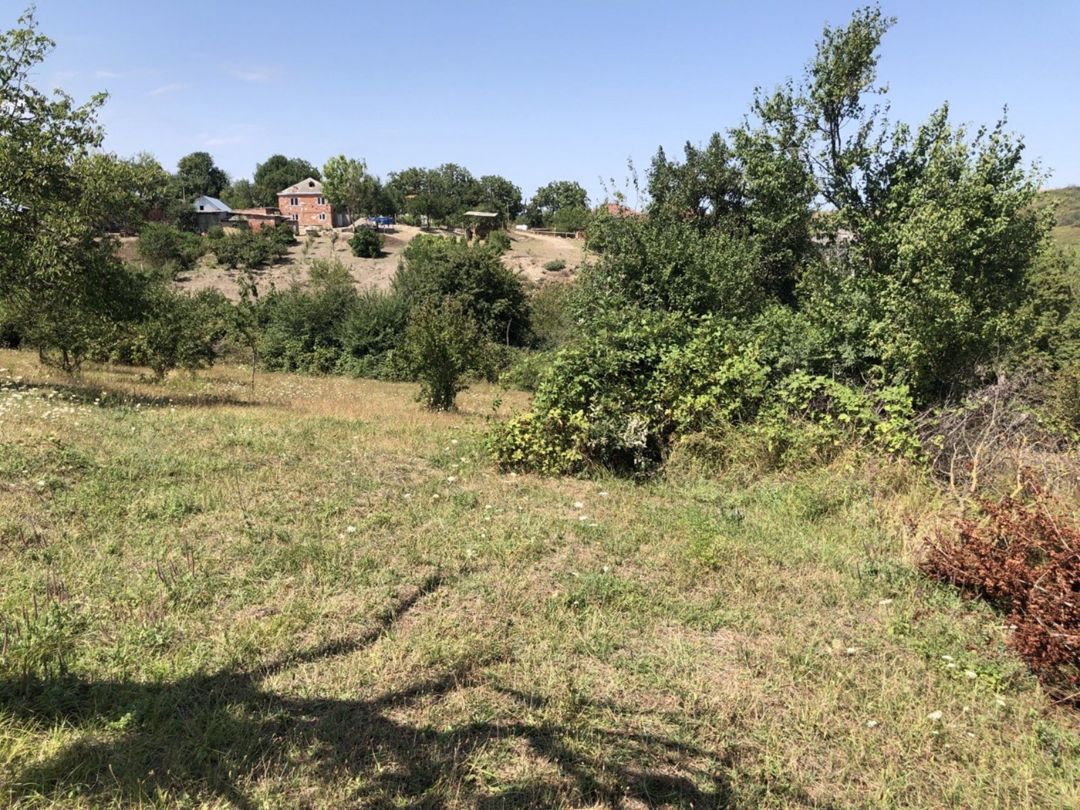 22 sot torpaq sahəsi, Şabran r — Torpaq, Şabran (9)