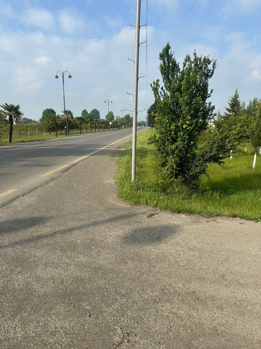 24 sot torpaq sahəsi, Lənkəran r — Torpaq, Lənkəran (3)