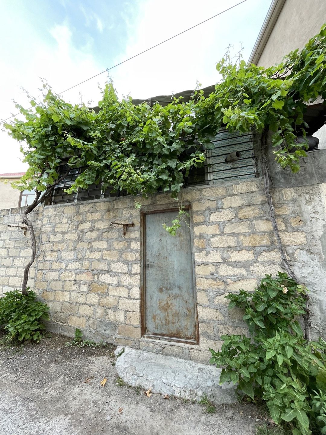 İcarəyə verilir 1 otaqlı həyət evi/bağ evi 18 m² — Ev, villa, Bakı (7)