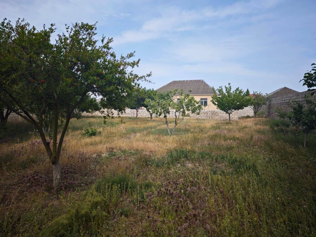 8 sot torpaq sahəsi, Buzovna qəs — Torpaq, Bakı (2)