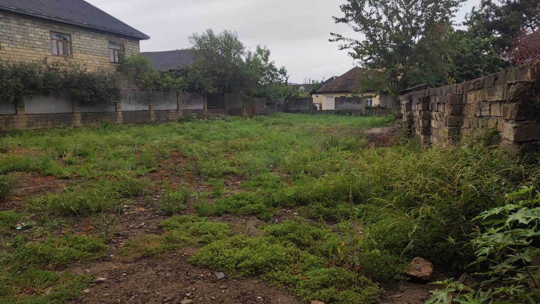 Satılır torpaq 10 sot — Torpaq, Lənkəran