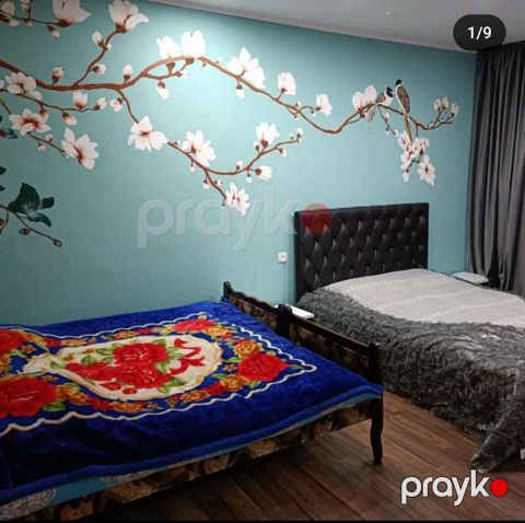 Həyət evi kirayə verilir, Zaqatala r
