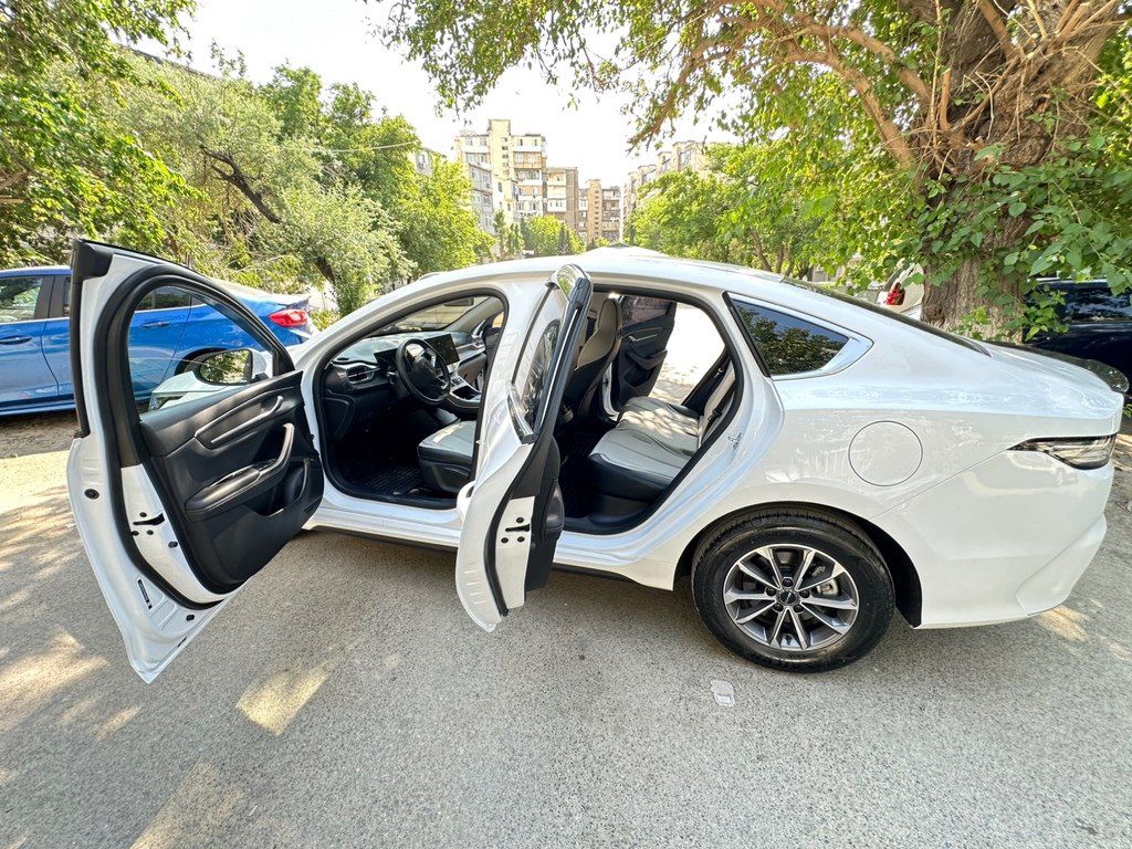 BYD Destroyer 05, 1.5 L, 8.3 kWh, 2025 il, 85 000 km — Avtomobillər, Bakı (4)