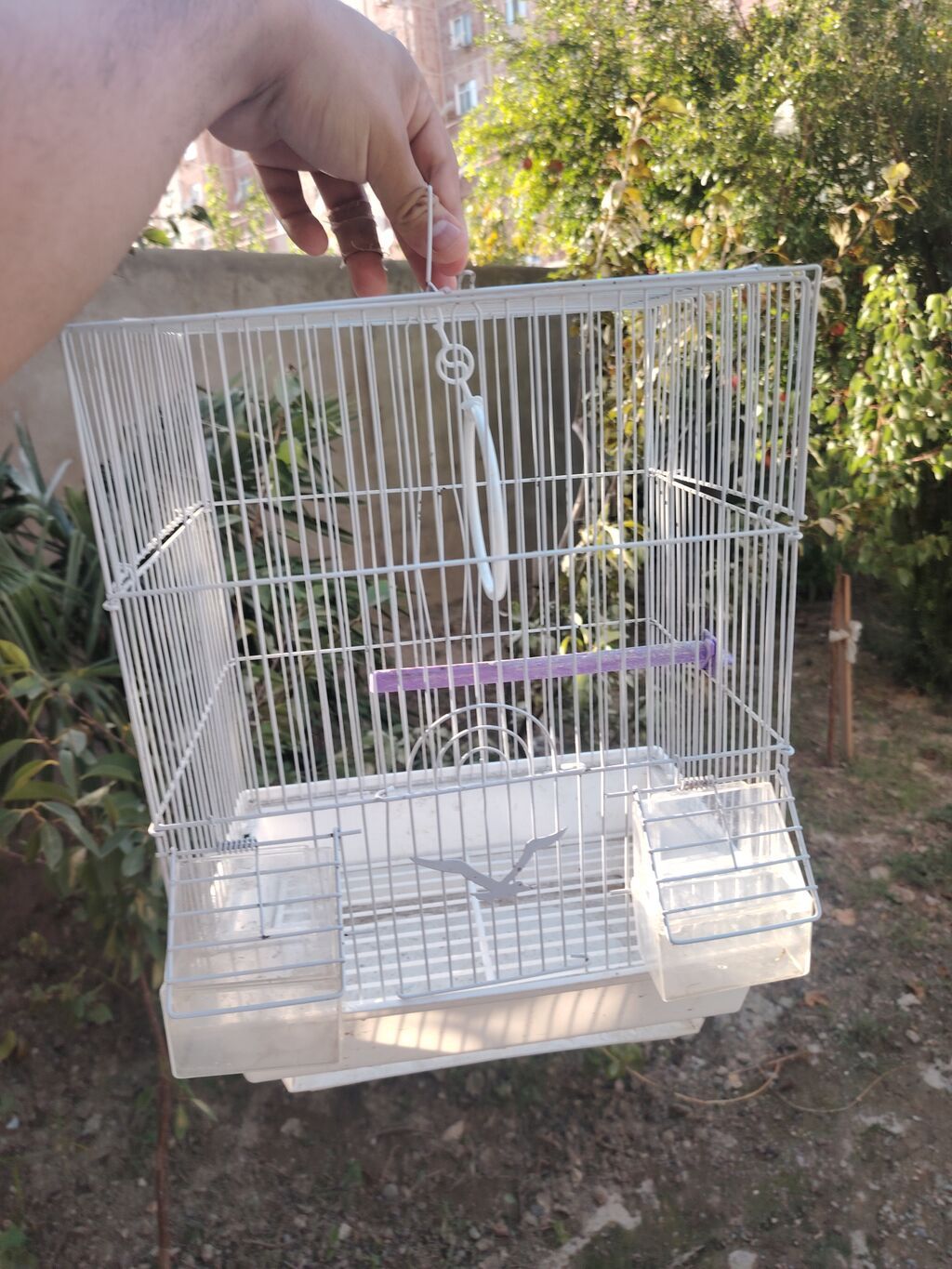 Papuqay ucun qefes satilir 1 eded 10 azn — Qəfəslər, Masazır (2)