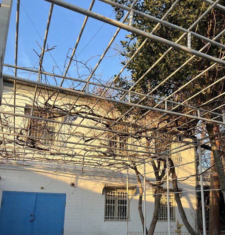 Satılır 5 otaqlı həyət evi/bağ evi 335 m² — Ev, villa, Bakı (9)