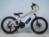 Dağ velosipedi BMX GTR 136-20, 20 düym, gümüşü — Yoboo az — Velosipedlər