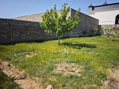 8 sot torpaq sahəsi, Buzovna qəs — Bakı