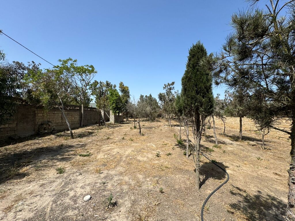 22 sot torpaq sahəsi, Şüvəlan qəs — Torpaq, Bakı (2)