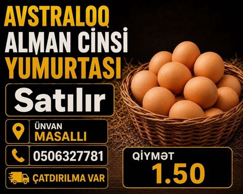 Avstraloq Alman cinsi yumurtası Qiymət: 1.50 Ünvan: Masallı — Masallı