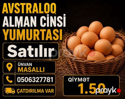 Avstraloq Alman cinsi yumurtası Qiymət: 1.50 Ünvan: Masallı — Masallı