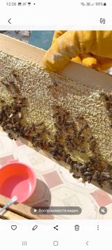 Qaşqar balı — Продукты питания