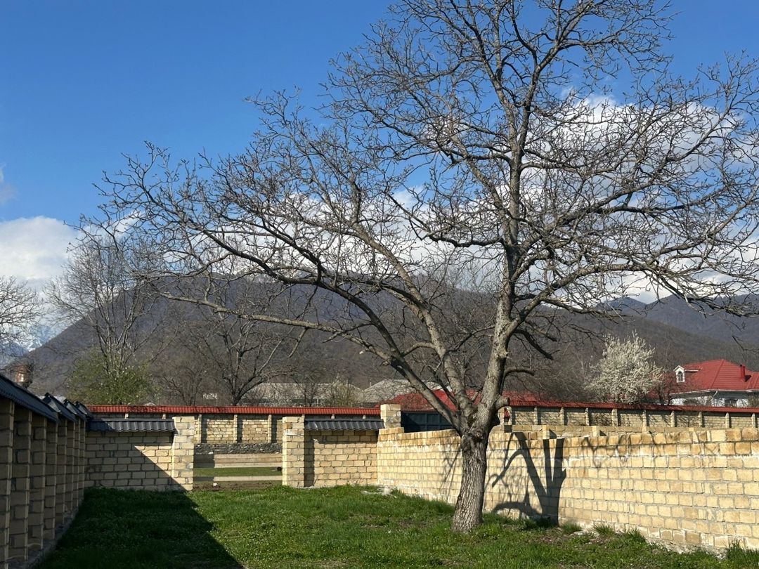 3.90 sot torpaq sahəsi, Qəbələ ş — Torpaq, Qəbələ (6)