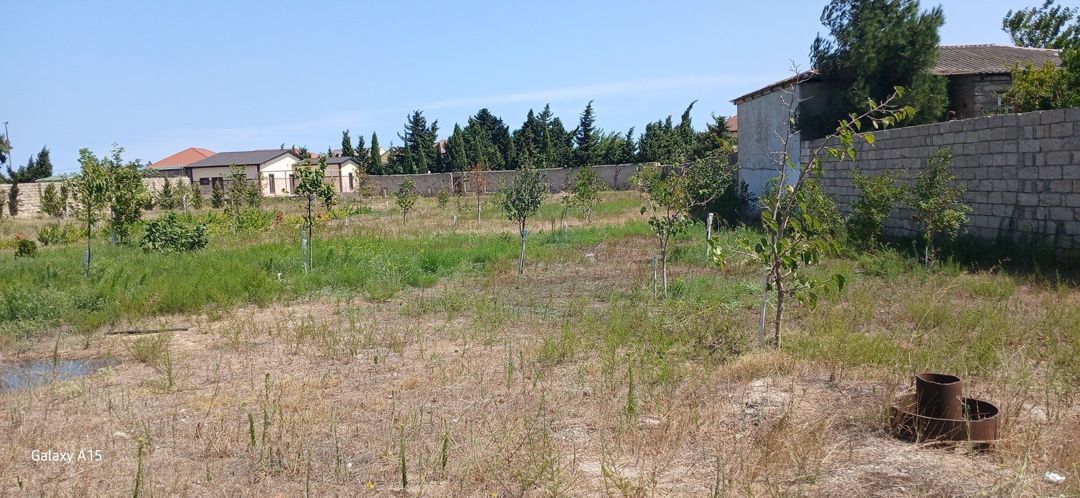 Satılır torpaq 50 sot — Torpaq, Bakı (5)