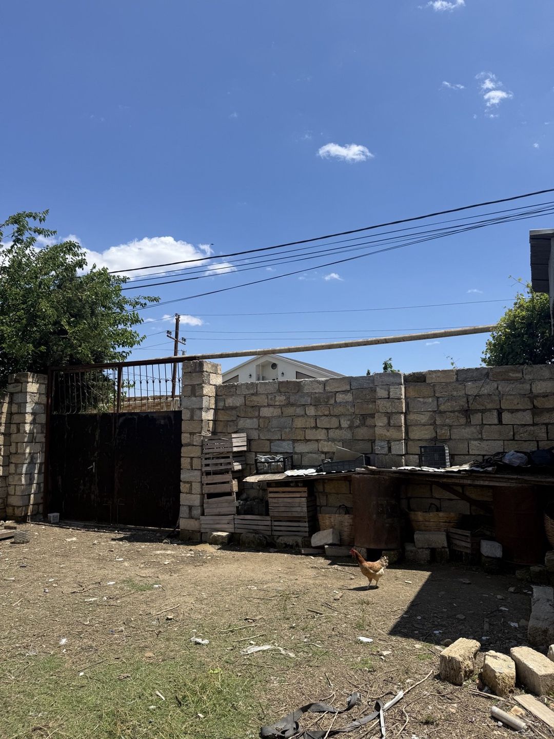 Satılır torpaq 3 sot — Torpaq, Bakı (2)