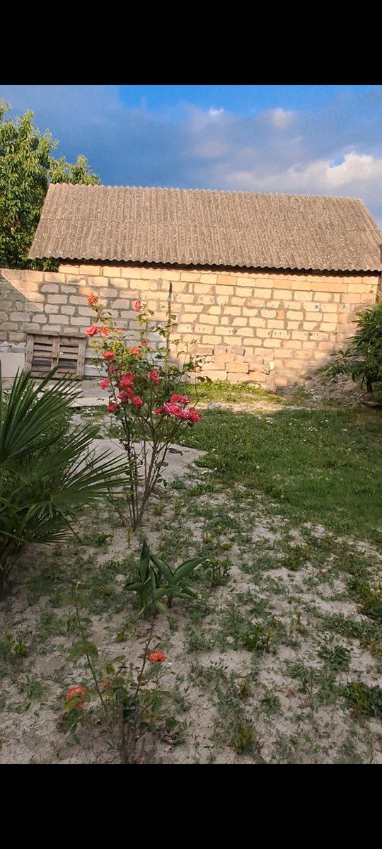 Həyət evi, Şəki ş — Ev, villa, Şəki (3)