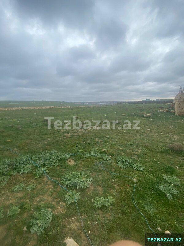 Novxanida 20 sot torpaq satilir — Torpaq, Bakı