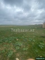 Novxanida 20 sot torpaq satilir — Cavid Məmmədov
