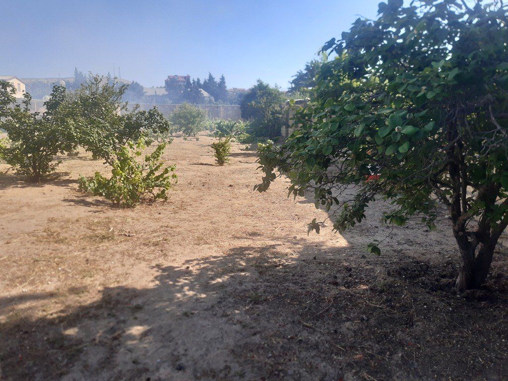 Satılır torpaq 25 sot — Torpaq, Bakı (3)