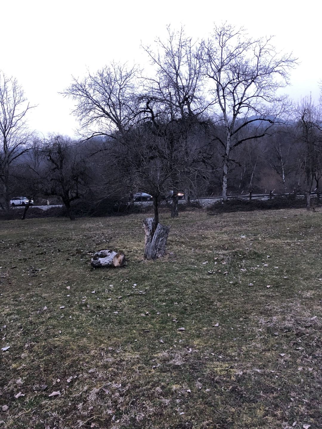 20 sot torpaq sahəsi, Qəbələ ş — Torpaq, Qəbələ (5)