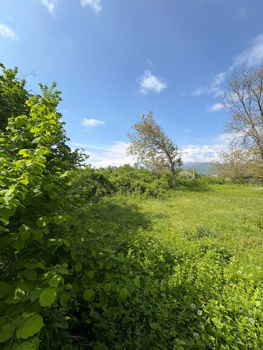 20 sot torpaq sahəsi, Oğuz r — Torpaq, Oğuz (5)